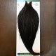 【WHITING】Hebert ROOSTER CAPE PRO Grade - NA Black No.2