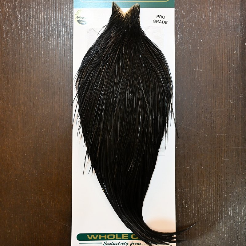 画像1: 【WHITING】Hebert ROOSTER CAPE PRO Grade - NA Black No.2 (1)