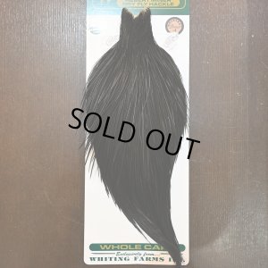 画像1: 【WHITING】Hebert Bronze Grade Cape NA Black No.1