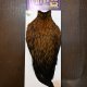 【WHITING】American Rooster Cape - FURNACE