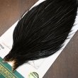 画像3: 【WHITING】Hebert ROOSTER CAPE PRO Grade - NA Black No.2 (3)