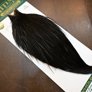 画像2: 【WHITING】Hebert ROOSTER CAPE PRO Grade - NA Black No.2
