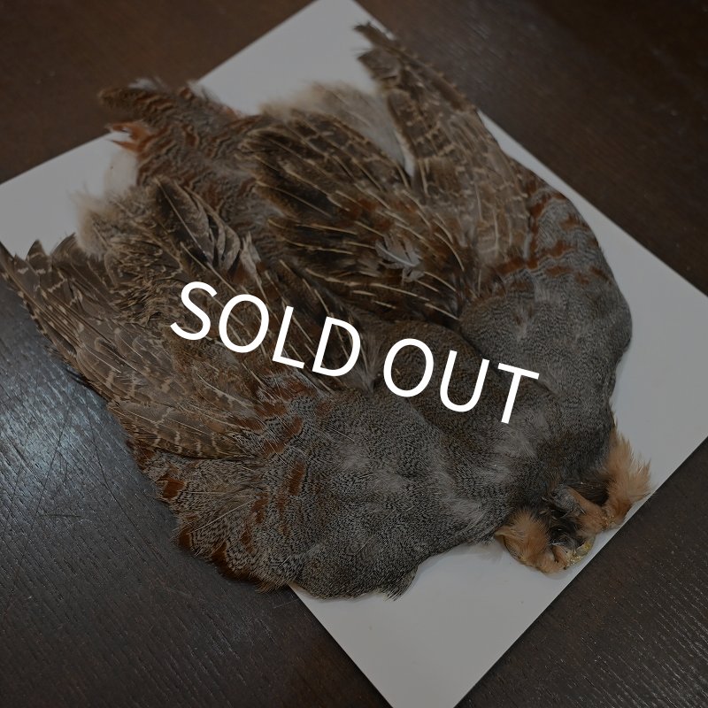 画像2: ハンガリアンパートリッジ コンプリート No.1 (2)