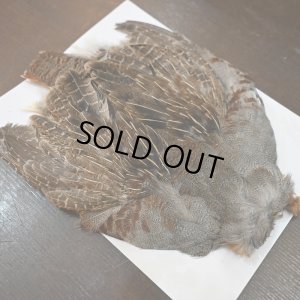 画像3: ハンガリアンパートリッジ コンプリート No.2