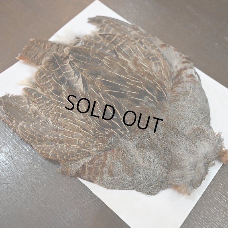 画像3: ハンガリアンパートリッジ コンプリート No.2 (3)