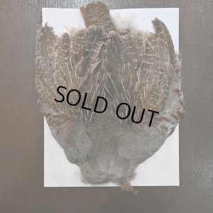 画像1: ハンガリアンパートリッジ コンプリート No.2