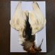 【CANAL】Black Heron コンプリート