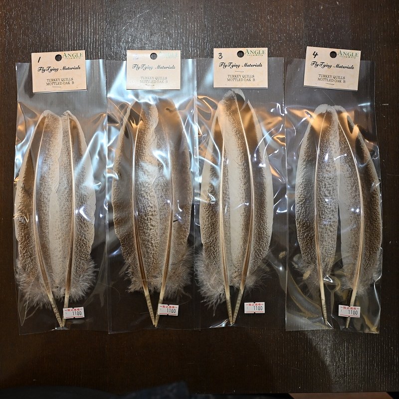 画像1: 【ANGLE】Turkey Quil Mottled OAK QUILL Bグレード (1)