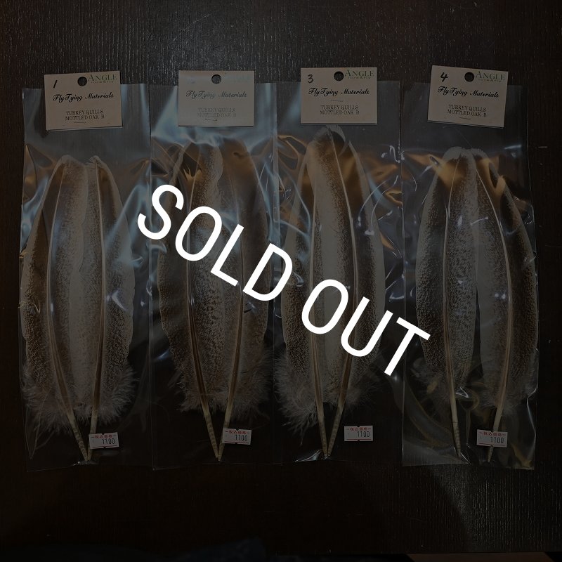 画像1: 【ANGLE】Turkey Quil Mottled OAK QUILL Bグレード (1)