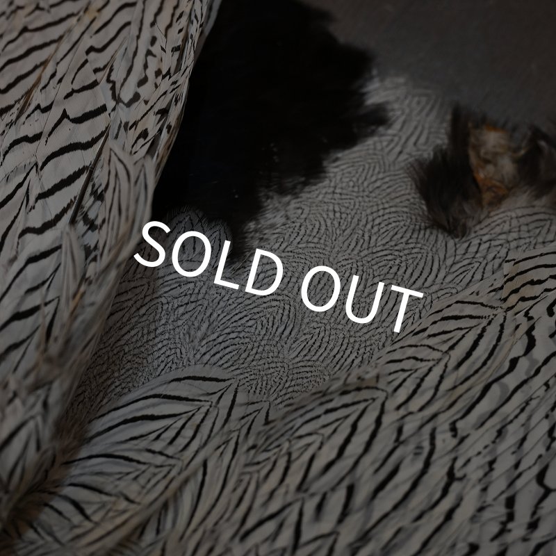 画像6: シルバーフェザント コンプリートスキン (6)