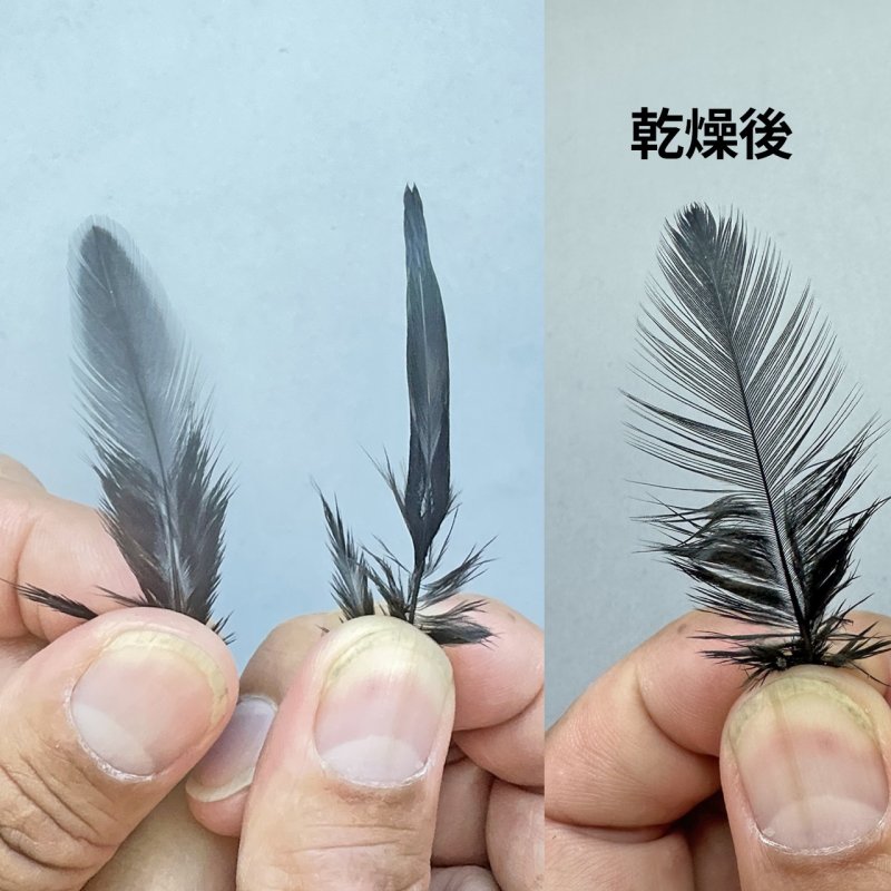 画像4: 【TMC】シマザキ タイメイト (4)