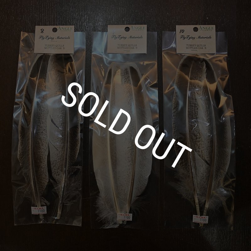 画像3: 【ANGLE】Turkey Quil Mottled OAK QUILL Bグレード (3)