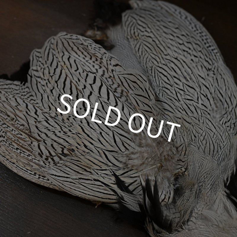 画像5: シルバーフェザント コンプリートスキン (5)