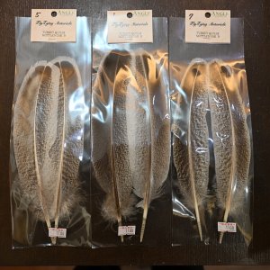 画像2: 【ANGLE】Turkey Quil Mottled OAK QUILL Bグレード