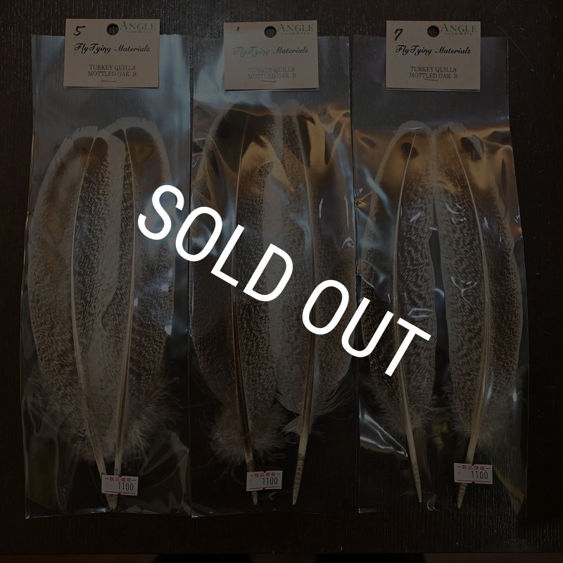 画像2: 【ANGLE】Turkey Quil Mottled OAK QUILL Bグレード (2)