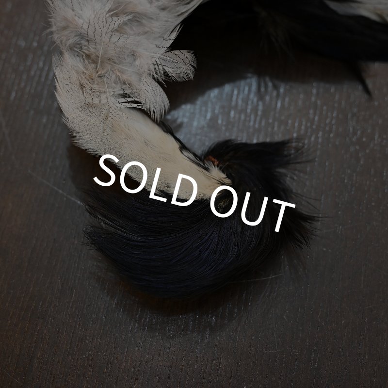 シルバーフェザント コンプリートスキン