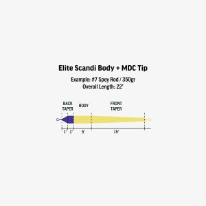 画像3: 【RIO】ELITE SCANDI BODY
