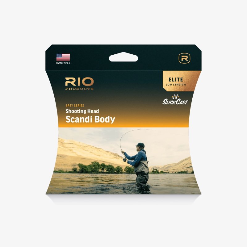 画像1: 【RIO】ELITE SCANDI BODY (1)