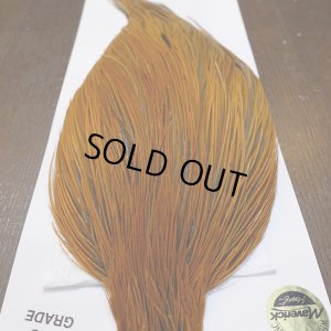 画像6: 【WHITING】Hebert ROOSTER CAPE PRO Grade - Rusty Dun