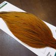 画像3: 【WHITING】Hebert ROOSTER CAPE PRO Grade - Rusty Dun (3)