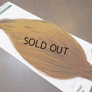 画像3: 【WHITING】Hebert ROOSTER CAPE PRO Grade - Rusty Dun