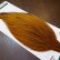 画像3: 【WHITING】Hebert ROOSTER CAPE PRO Grade - Rusty Dun