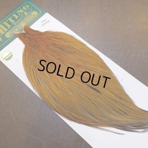 画像2: 【WHITING】Hebert ROOSTER CAPE PRO Grade - Rusty Dun