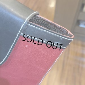 画像8: 【T.SUGISAKA】スプリングネット 4L