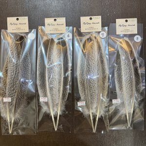 画像3: 【ANGLE】モトルド ターキークイル Bグレード