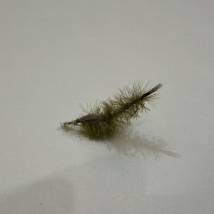 画像2: 【完成品フライ】アーポナウィグリング ダムゼルニンフ 1ケース12個入