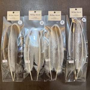 画像2: 【ANGLE】モトルド ターキークイル Bグレード