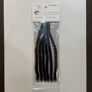 画像1: 【CANAL】SEALS ZONKER