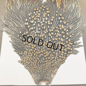 画像2: 【CANAL】ジャングルコック(3)