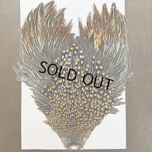 画像1: 【CANAL】ジャングルコック(3)