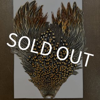 ジャングルコック - DOLLYVARDEN FLYSHOP