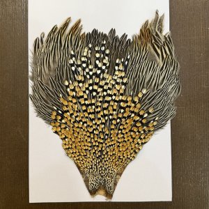 画像1: 【CANAL】ジャングルコック(2)