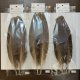 【CANAL】 PEACOCK QUILL M