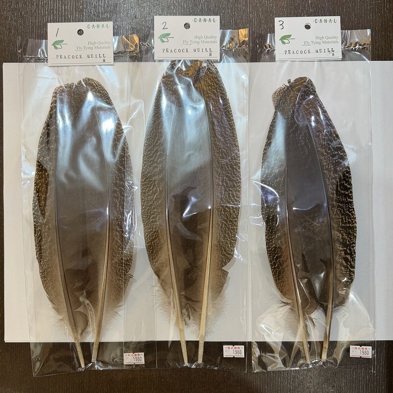 画像1: 【CANAL】 PEACOCK QUILL M (1)