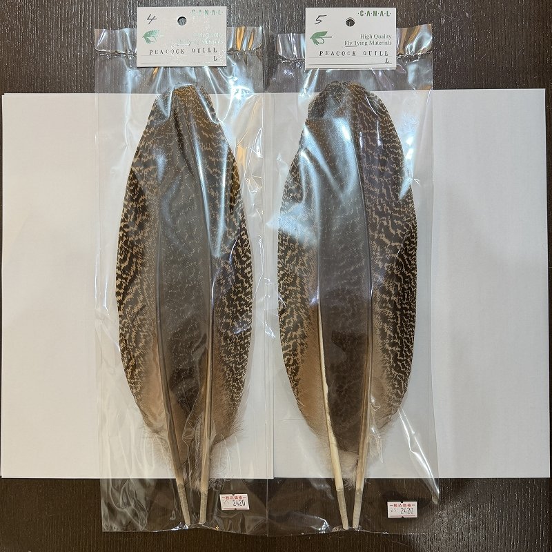 画像2: 【CANAL】PEACOCK QUILL L (2)