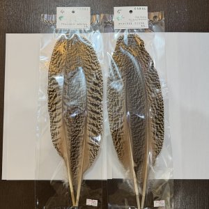 画像2: 【CANAL】PEACOCK QUILL XL