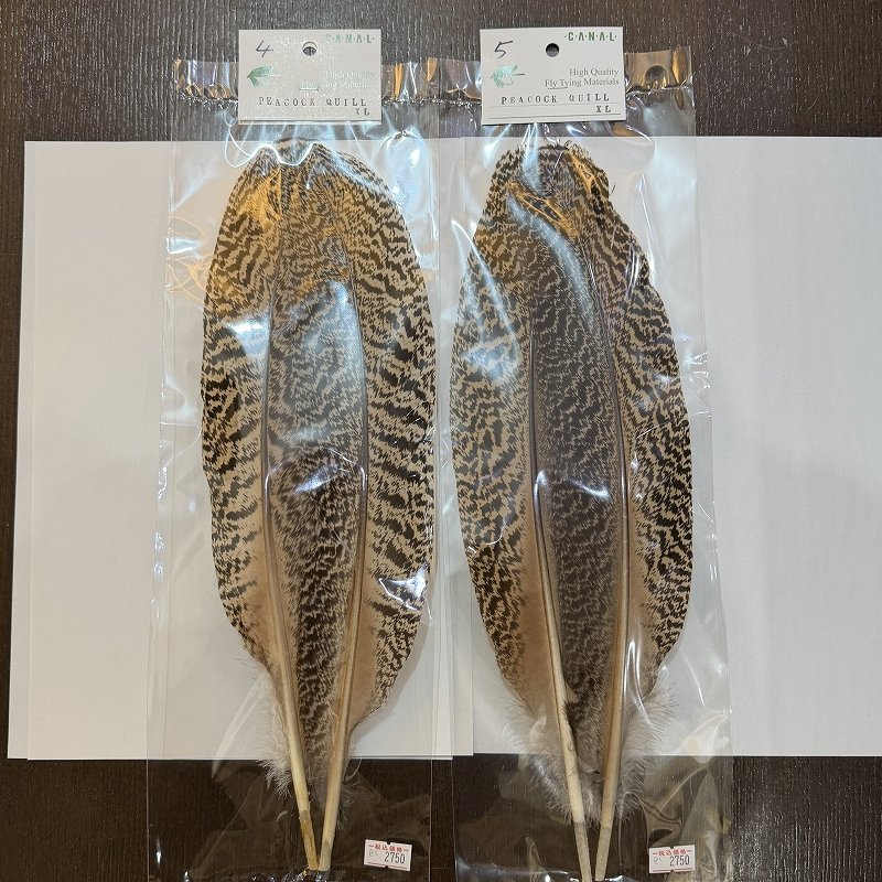 画像2: 【CANAL】PEACOCK QUILL XL (2)