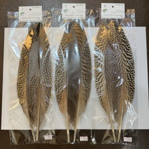 画像1: 【CANAL】PEACOCK QUILL XL