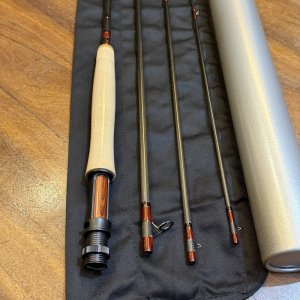 画像6: 【Scott】GT 984/4