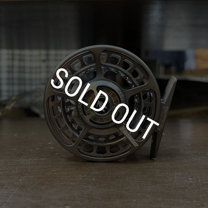 画像4: 【SAGE】SPECTRUM LT #3/4(SALE) (4)