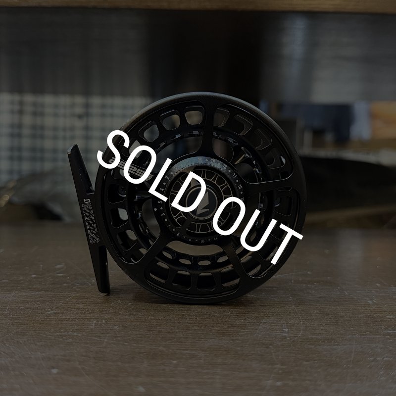 画像6: 【SAGE】SPECTRUM LT #3/4(SALE) (6)