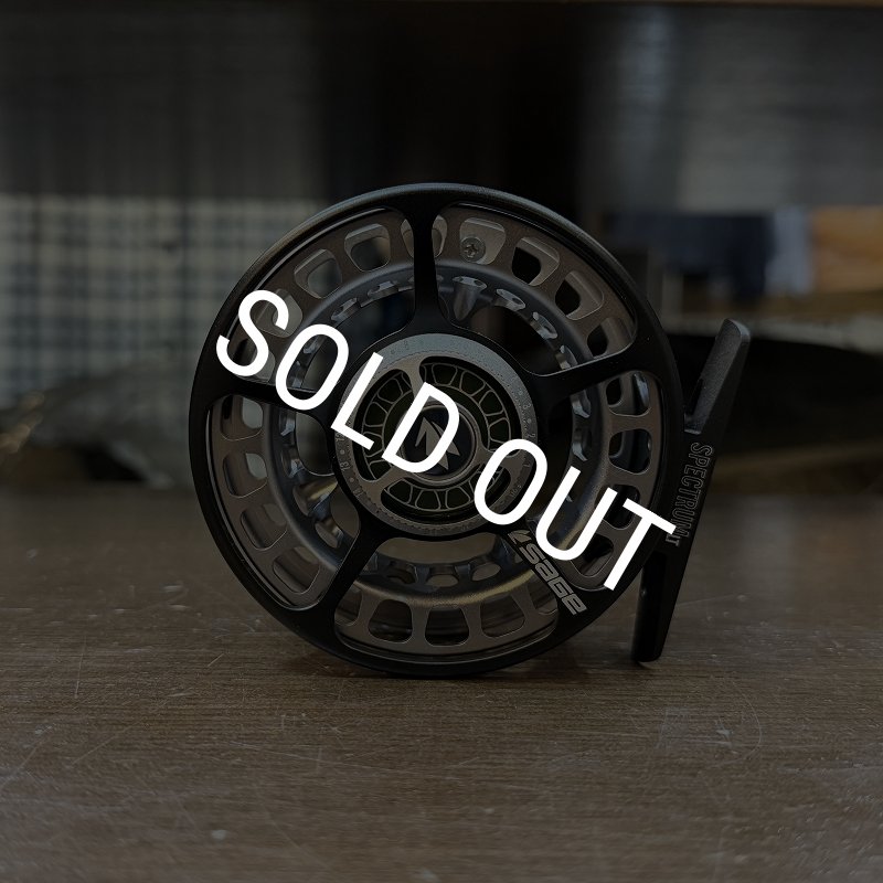 画像2: 【SAGE】SPECTRUM LT #3/4(SALE) (2)