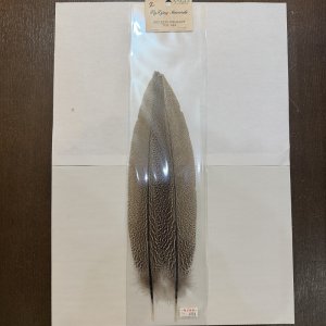 画像2: 【ANGLE】スペックルドフェザント ウィング