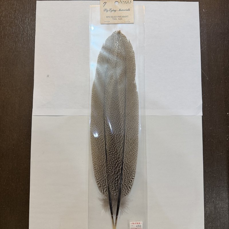 画像7: 【ANGLE】スペックルドフェザント ウィング (7)