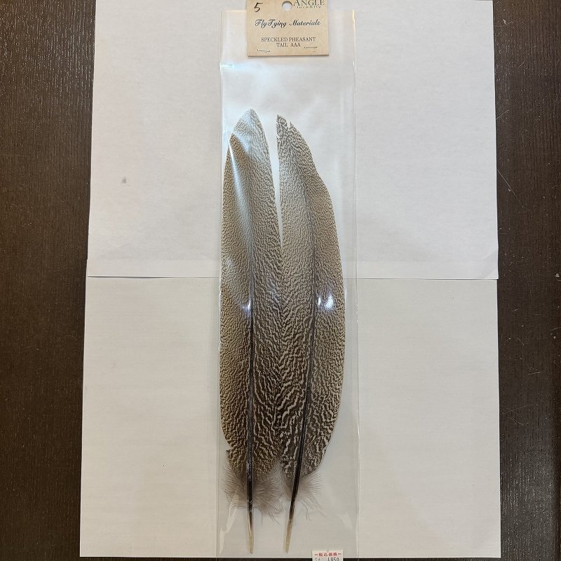 画像5: 【ANGLE】スペックルドフェザント ウィング (5)