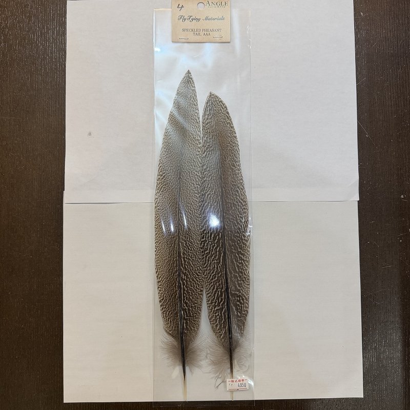 画像4: 【ANGLE】スペックルドフェザント ウィング (4)